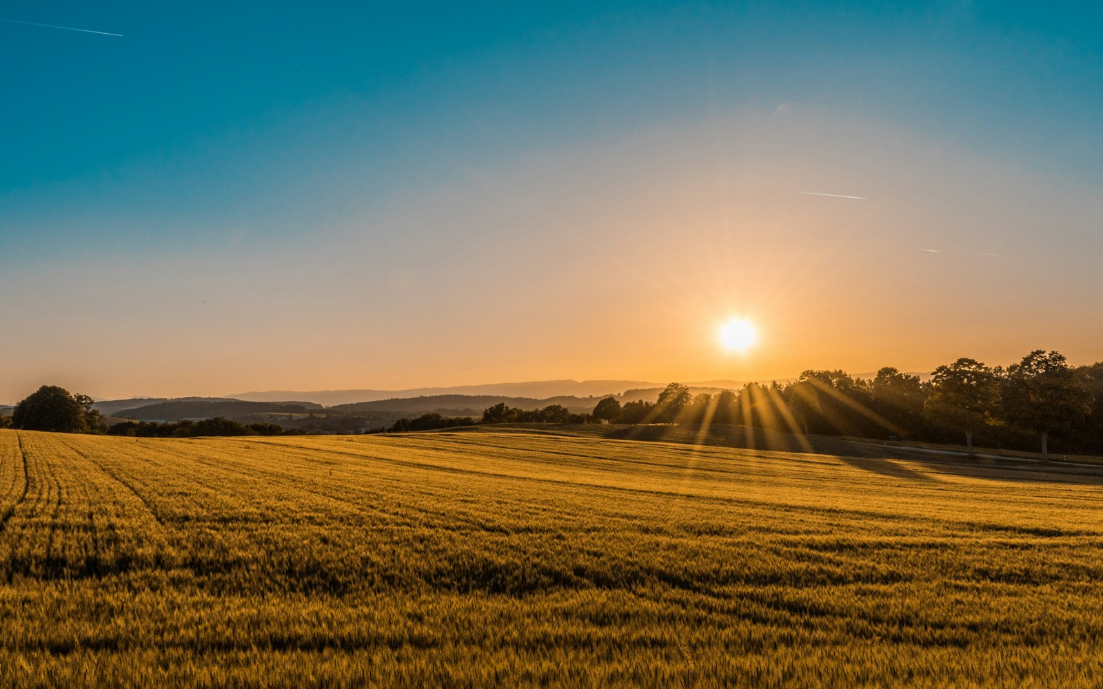 Sustainable agriculture and farm production