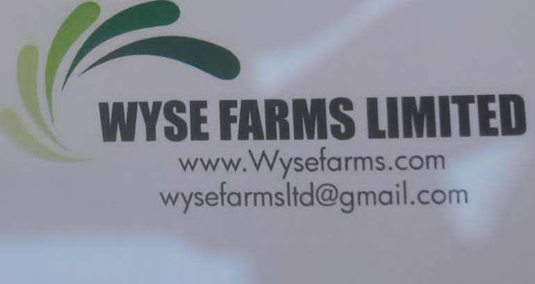 Wyse Farms Limited logo